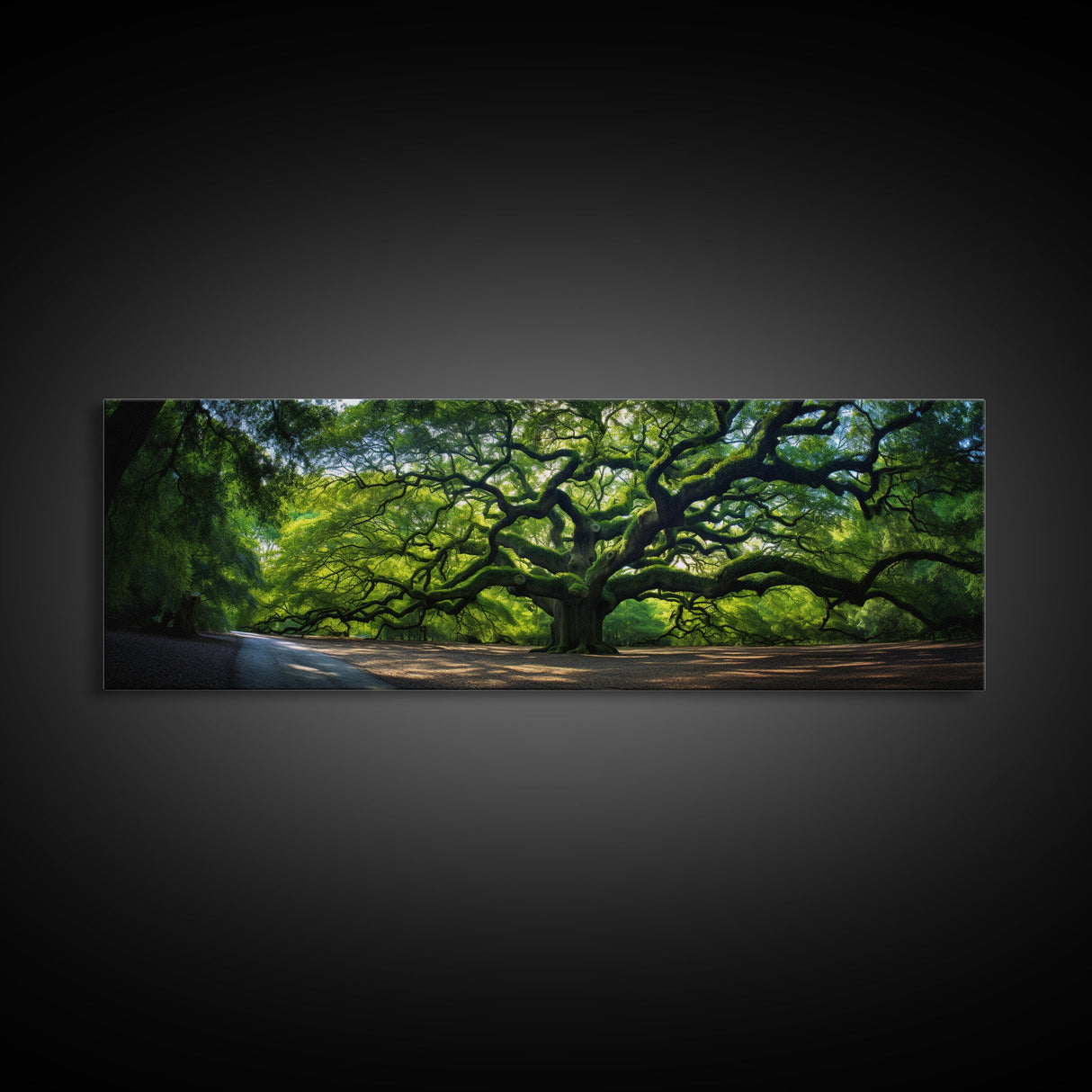 Photographic Panoramic of the Angel Oak in Charleston SC, Sunset Photography, National Park Art, Framed Canvas Print, Landscape Photography