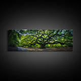 Photographic Panoramic of the Angel Oak in Charleston SC, Sunset Photography, National Park Art, Framed Canvas Print, Landscape Photography