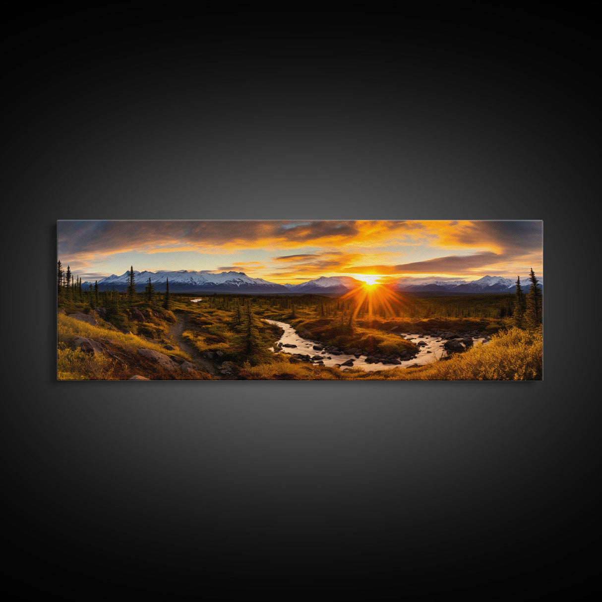 Panoramic of Denali National Park, Extra Large Wall Art, Panoramic Wall Art, Panoramic Print, Landscape Photography Landscape Print