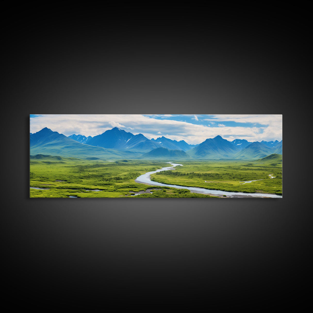 Panoramic of Denali National Park, Extra Large Wall Art, Panoramic Wall Art, Panoramic Print, Landscape Photography, Landscape Print