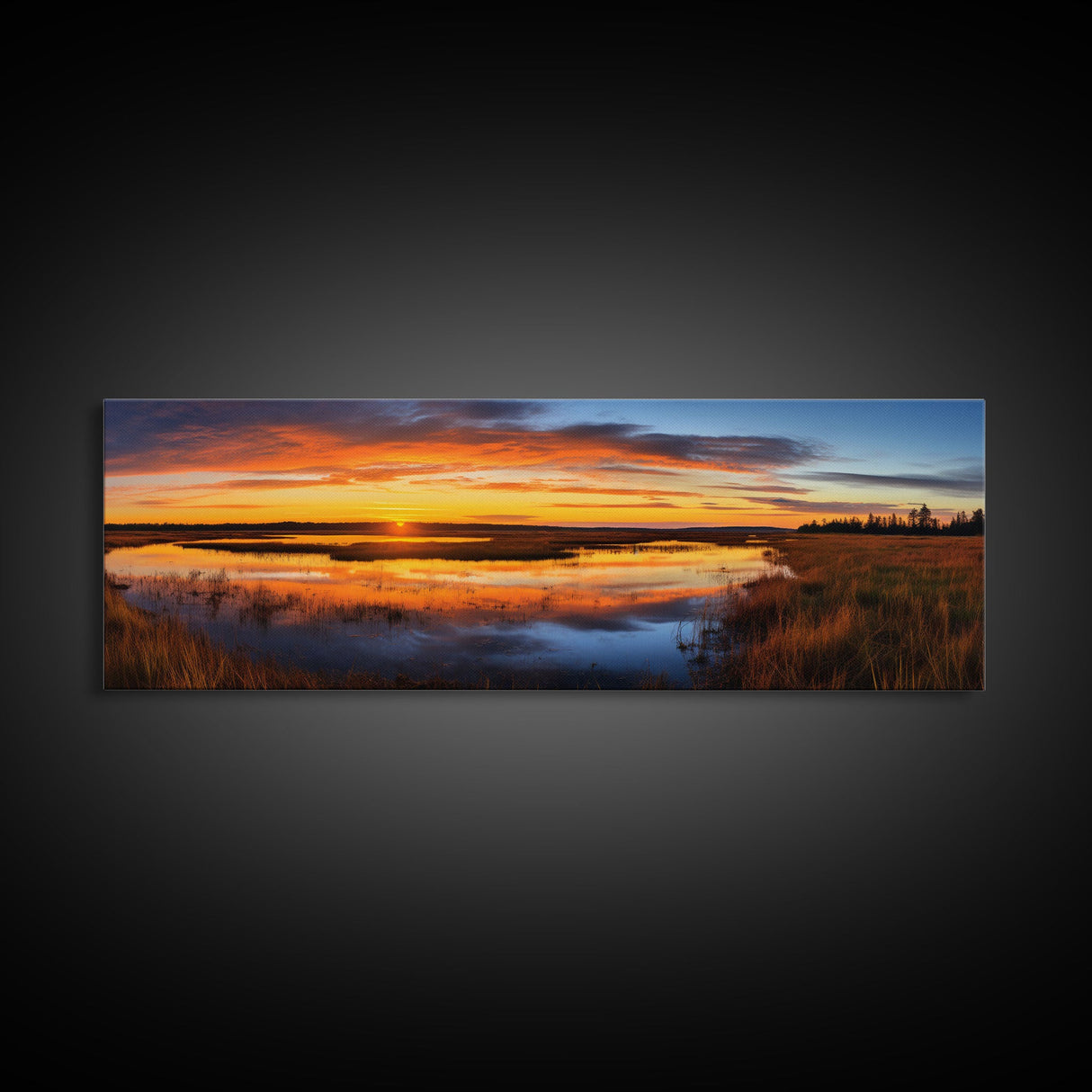 Panoramic of Everglades National Park, Extra Large Wall Art, Panoramic Wall Art, Panoramic Print, Landscape Photography, Landscape Print