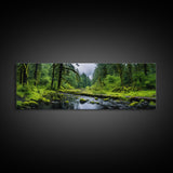 Panoramic Print of Hoh Rain Forest Washington, Extra Large Wall Art, Panoramic Wall Art, Panoramic Landscape Print, Landscape Photography