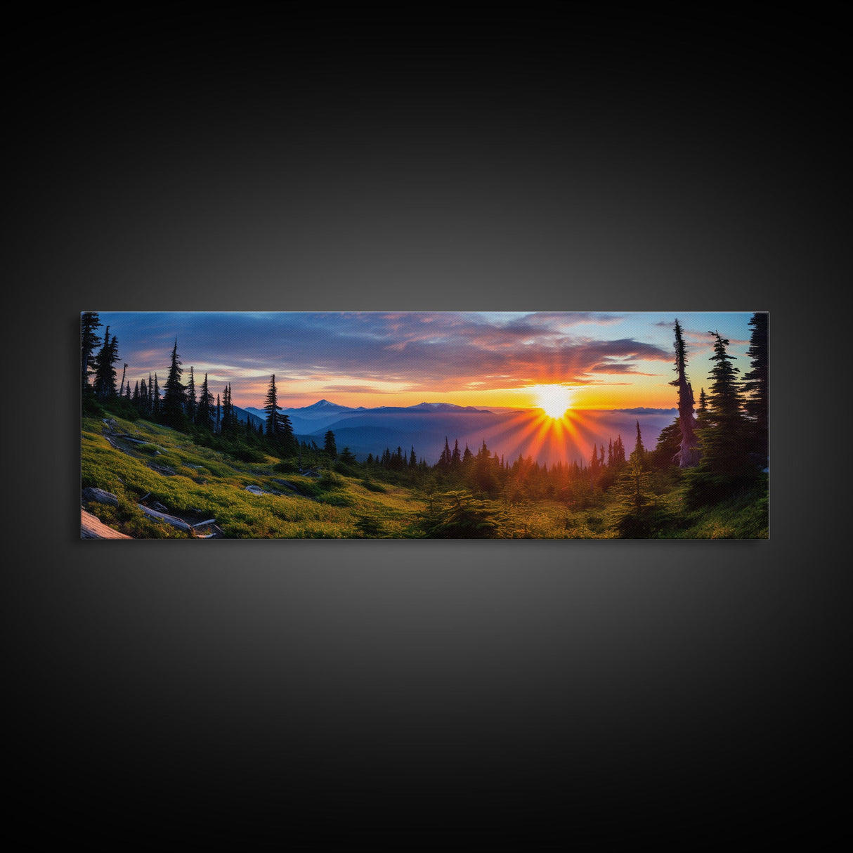 Panoramic of Olympic National Park, Extra Large Wall Art, Panoramic Wall Art, Panoramic Print, Landscape Photography Landscape