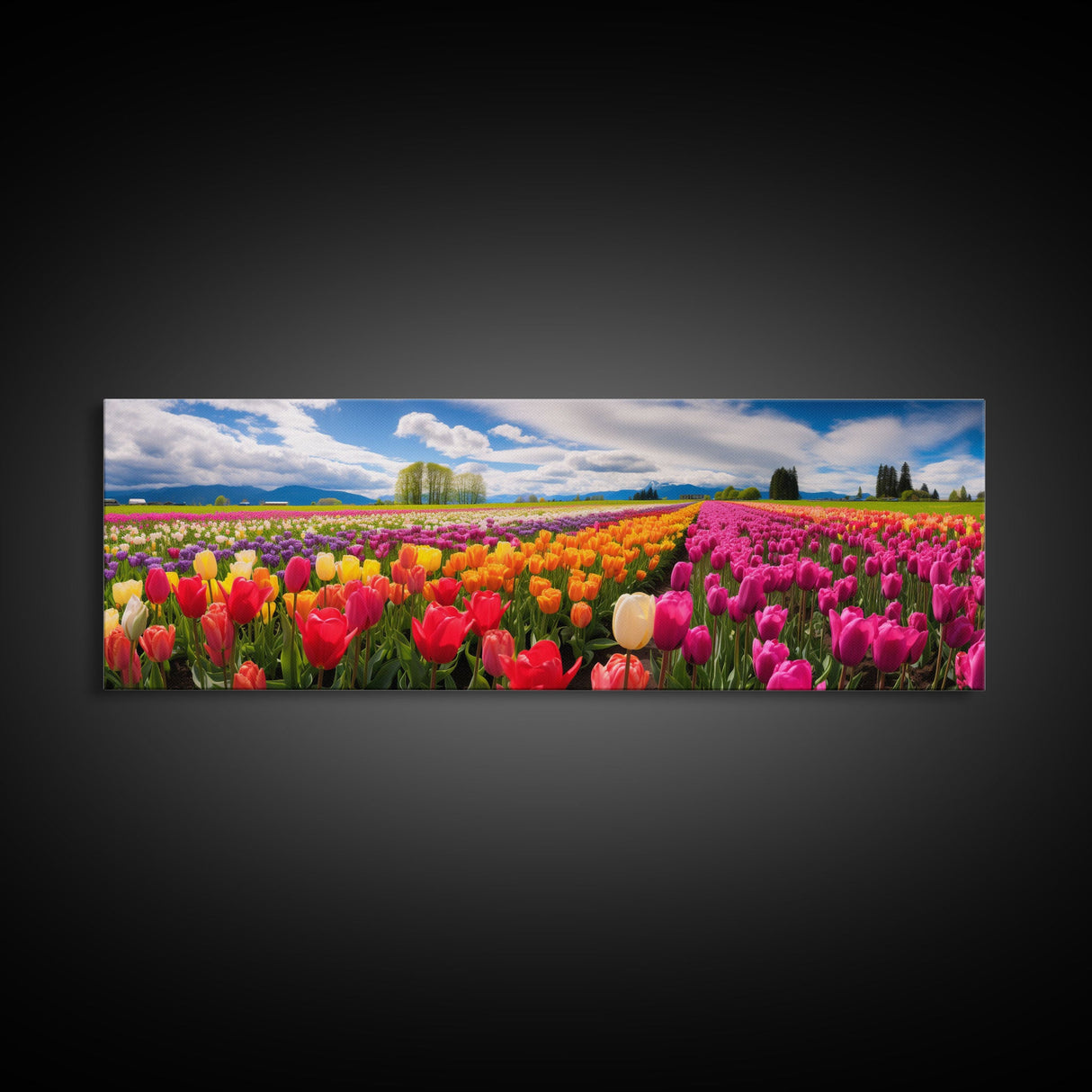 Panoramic Print of Tulip Fields of Skagit Valley Extra Large Wall Art, Panoramic Wall Art, Panoramic Landscape Print, Landscape Photography