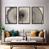 3 Piece Triptych Framed Canvas Wall Art Set, Wood Tree Rings, Abstract Illustration Prints, Modern Art, Neutral Decor, Minimalist Art