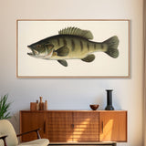 Bass Fish Wall Decor, Animal Wall Art, Nature Wall Art, Minimalist Art, Panoramic Wall Decor, Canvas Print, Wall Art, Framed Canvas Art