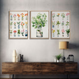 3 Piece Set, Cute Kawaii Floral Print, Flowers In Vases, Framed Wall Art, Canvas Print, Botanical Wall Decor, Dried Flower Large Art