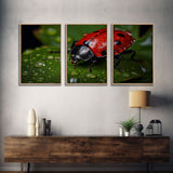 Lady Bug Wall Art, Insect Art Print, Nature Art, Canvas Print, Wall Art, 3 Piece Wall Art, Dorm Room Art, Living Room Prints, Office Prints