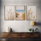 Set of 3 Pampas Grass, Beach Ocean Shore Photography Prints, Minimalist Modern Art Neutral Coastal Room Decor Framed Canvas Wall Art