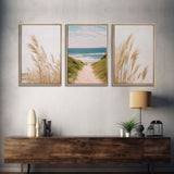 Beautiful Set of 3 Pampas Grass Beach Ocean Shore Photography Prints Minimalist Modern Art Neutral Coastal Room Decor Framed Canvas Wall Art