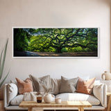 Photographic Panoramic of the Angel Oak in Charleston SC, Sunset Photography, National Park Art, Framed Canvas Print, Landscape Photography