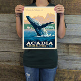 Acadia National Park: Whale Watching (63 National Parks) Art Print