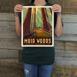 Muir Woods National Monument (American Travel) Art Print