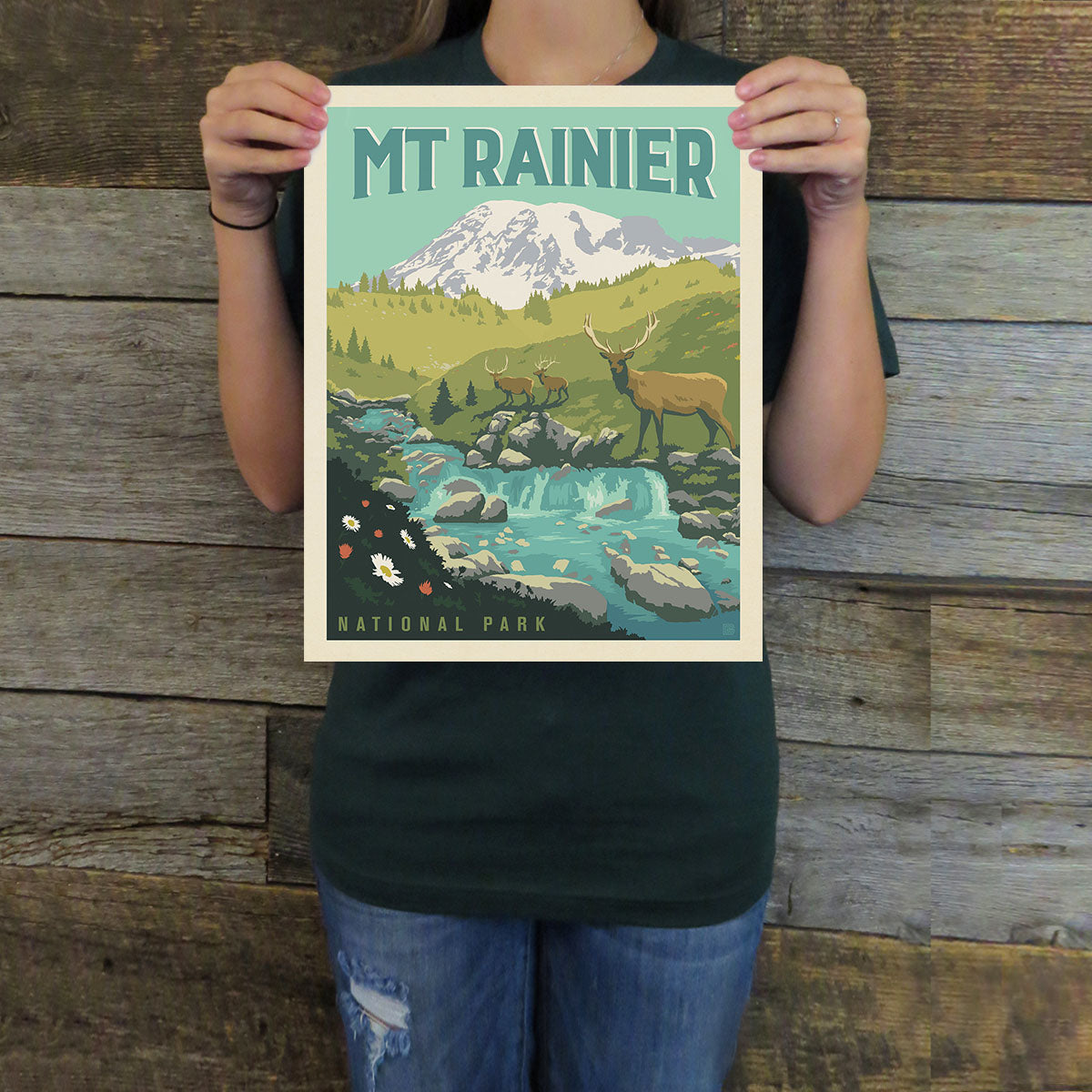 Mount Rainier National Park: Grazing Elk (63 National Parks) Art Print