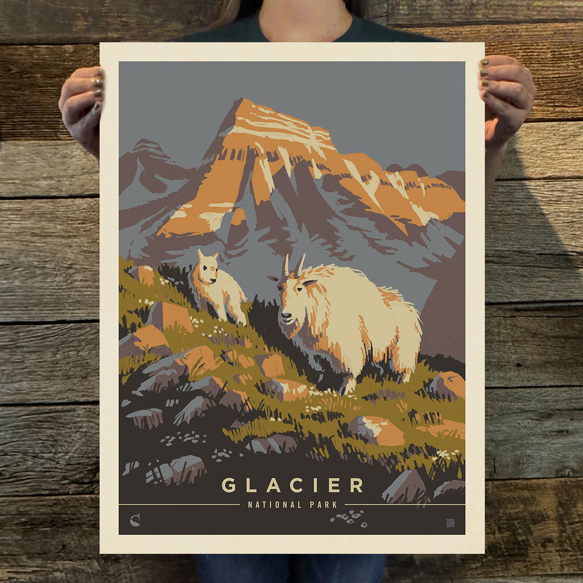 Glacier National Park: Mama Goat (63 National Parks) Art Print