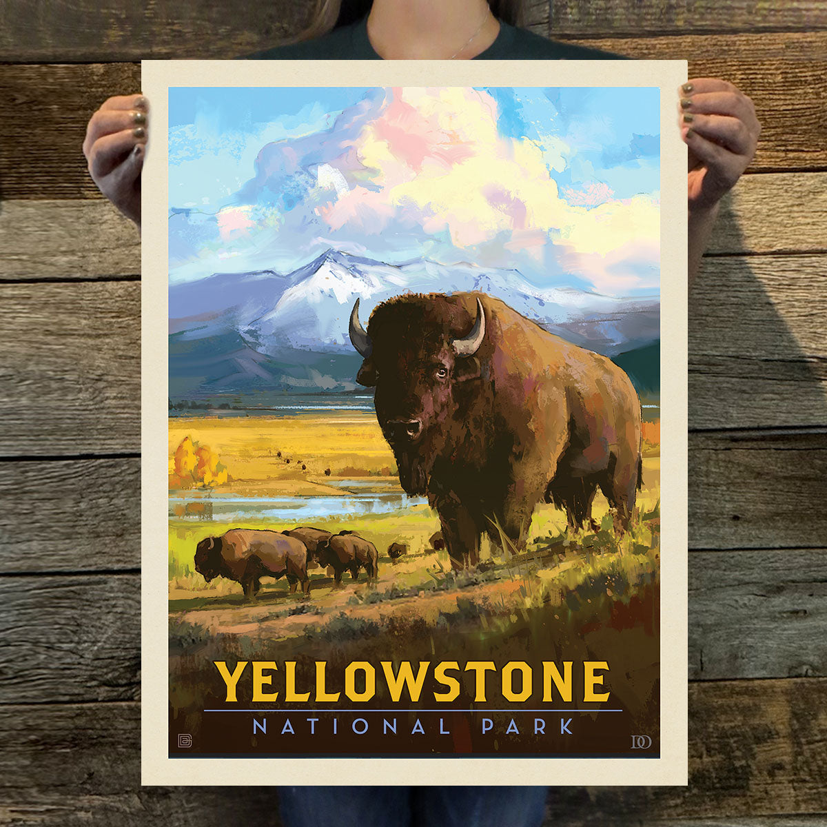 Yellowstone National Park: American Bison (63 National Parks) Art Print