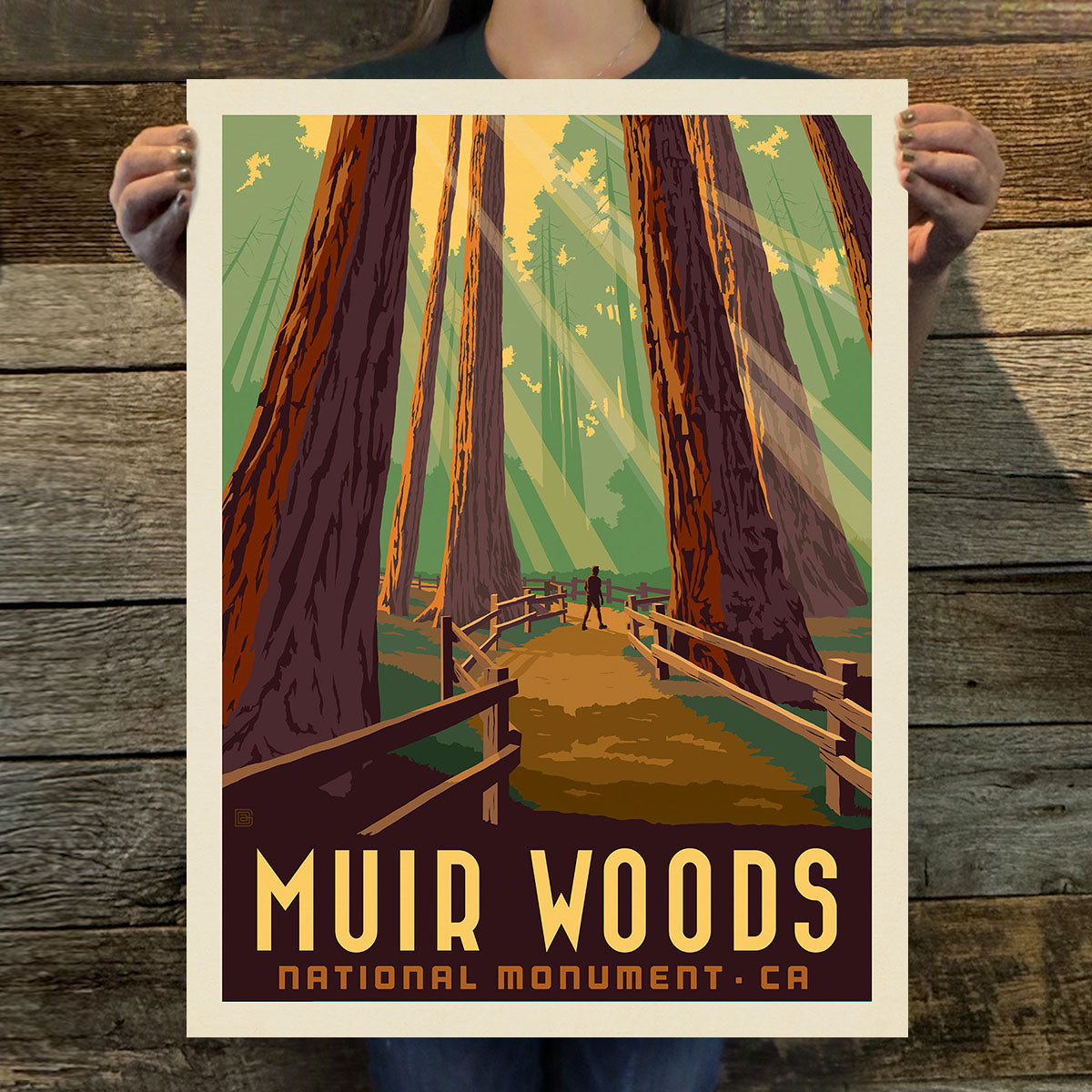 Muir Woods National Monument (American Travel) Art Print