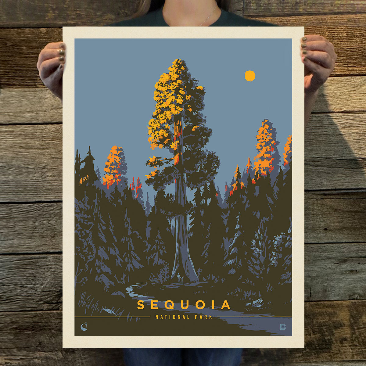 Sequoia National Park: Morning Glow (63 National Parks) Art Print