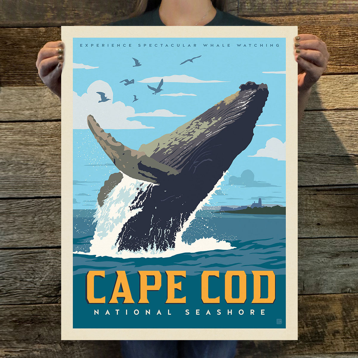 Cape Cod National Seashore (American Travel) Art Print