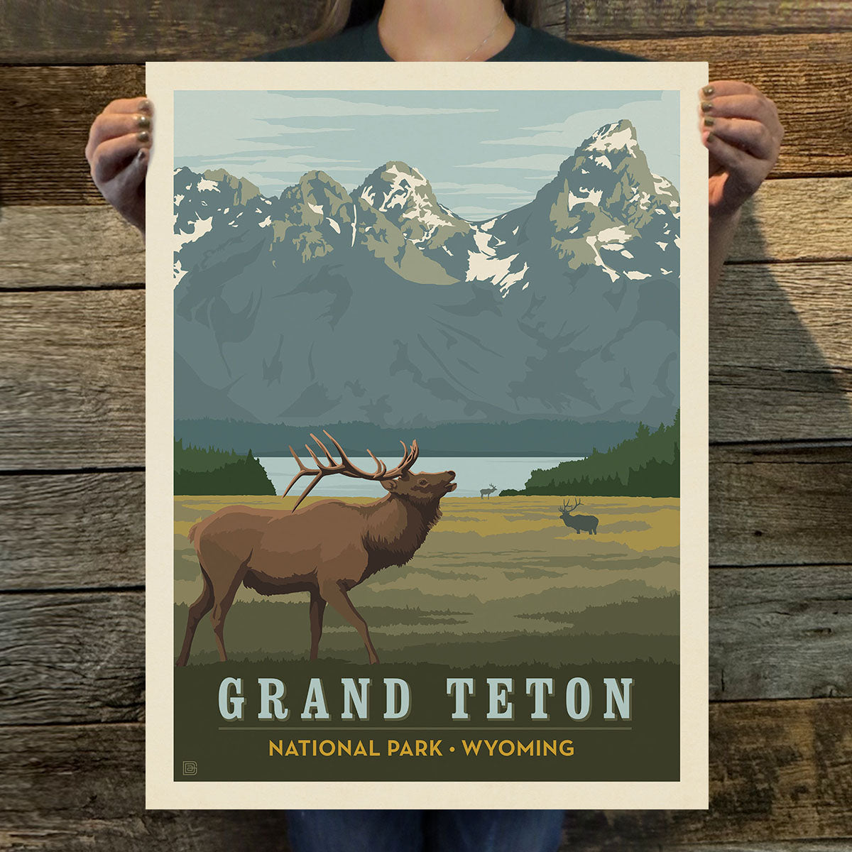 Grand Teton National Park: Elk (63 National Parks) Art Print