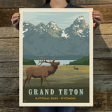 Grand Teton National Park: Elk (63 National Parks) Art Print