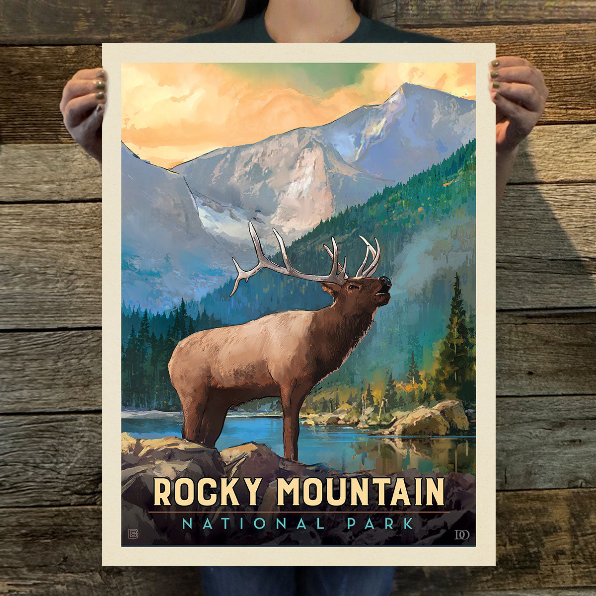 Rocky Mountains National Park: Bull Elk (63 National Parks) Art Print