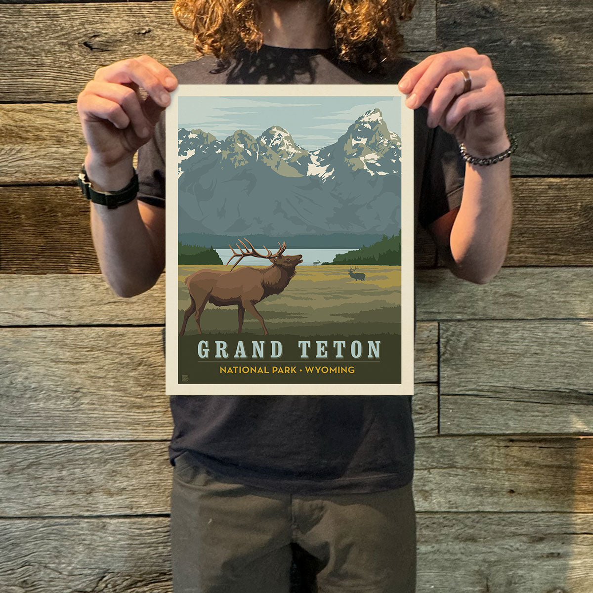 Grand Teton National Park: Elk (63 National Parks) Art Print