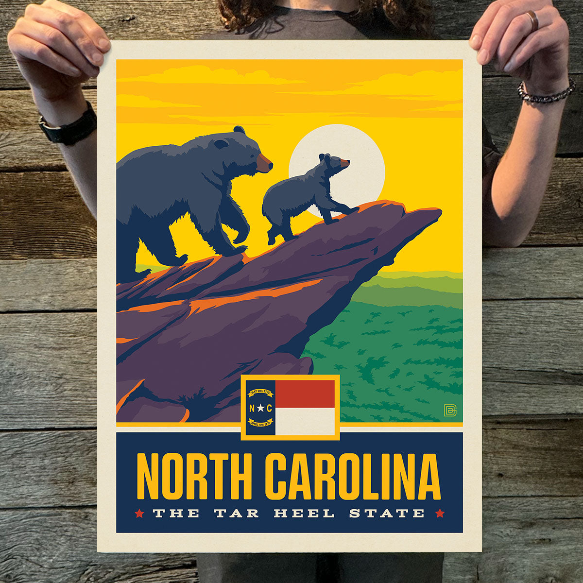 North Carolina (State Pride) Art Print