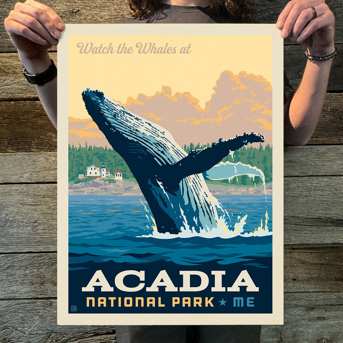 Acadia National Park: Whale Watching (63 National Parks) Art Print