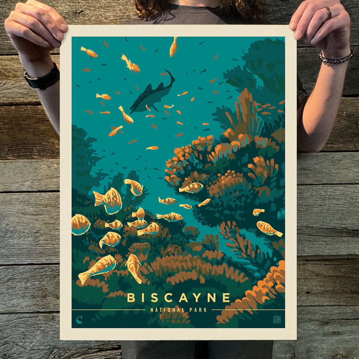 Biscayne National Park: Wonders Down Under (63 National Parks) Art Print