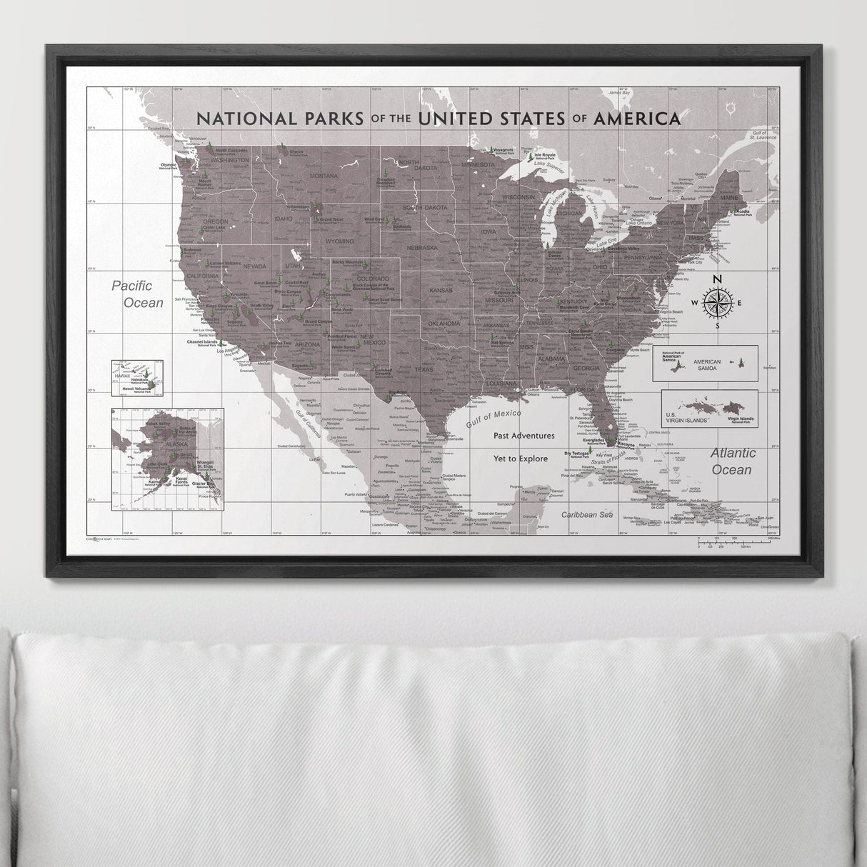 Push Pin National Parks Map - Dark Brown Color Splash - Pins Included!