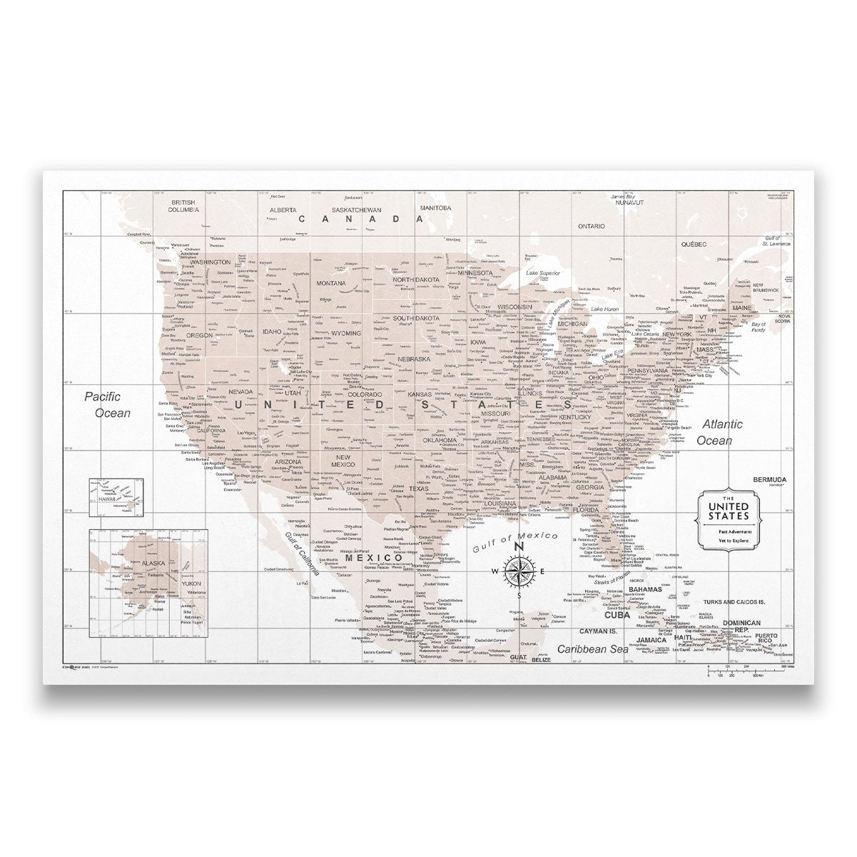 Push Pin USA Map Pin Board - Light Brown Color Splash - Pins Included!