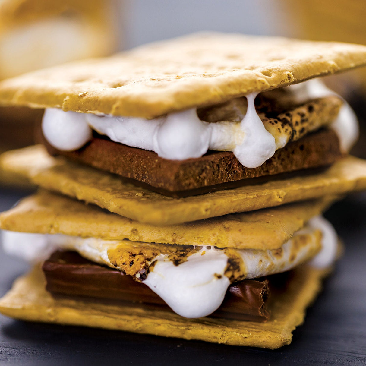 S'mores 100 Piece Jigsaw Puzzle