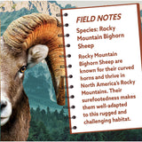 Rocky Mountain Bighorn Sheep 100 Piece Shaped Jigsaw Puzzle