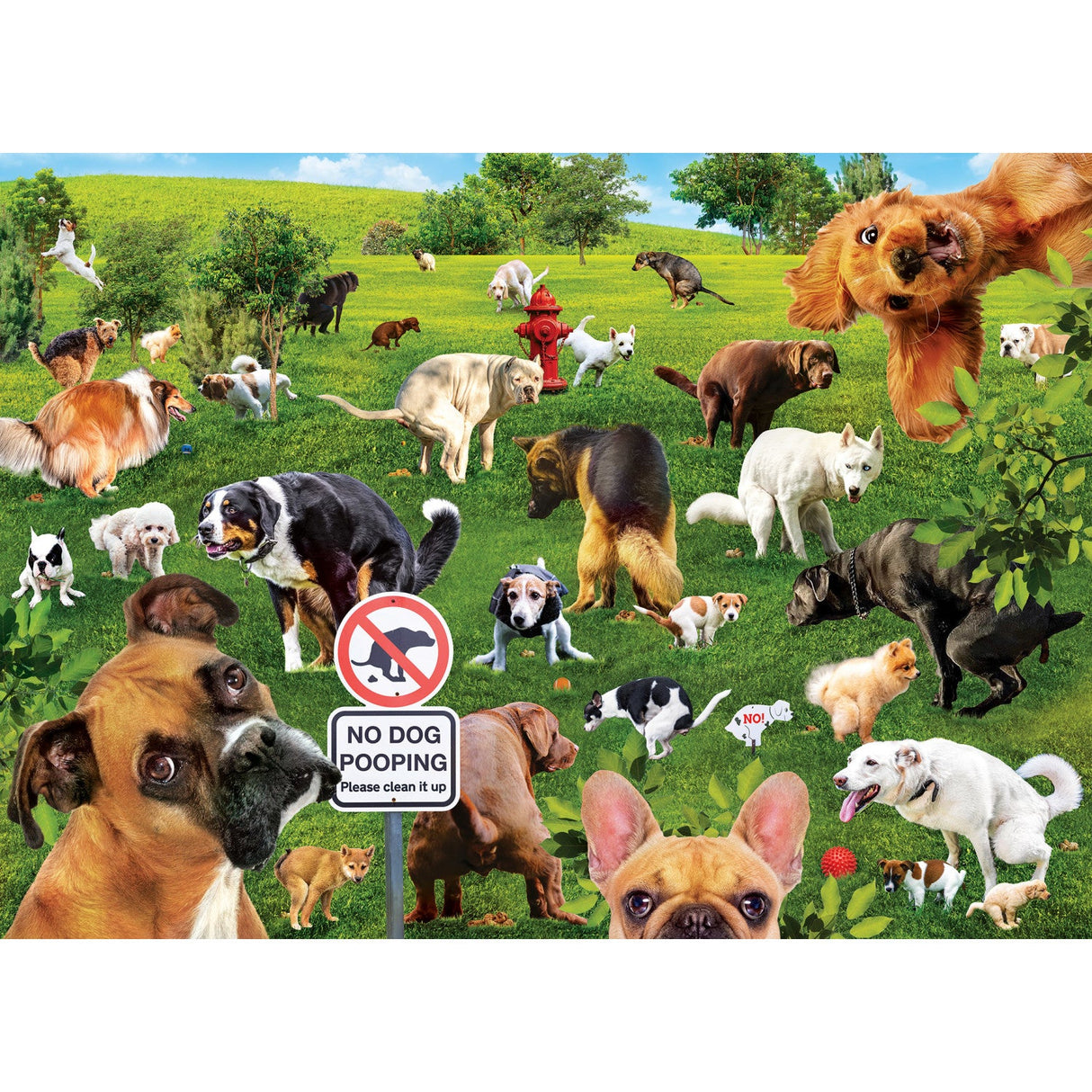 Super Dooper Poopers 1000 Piece Jigsaw Puzzle