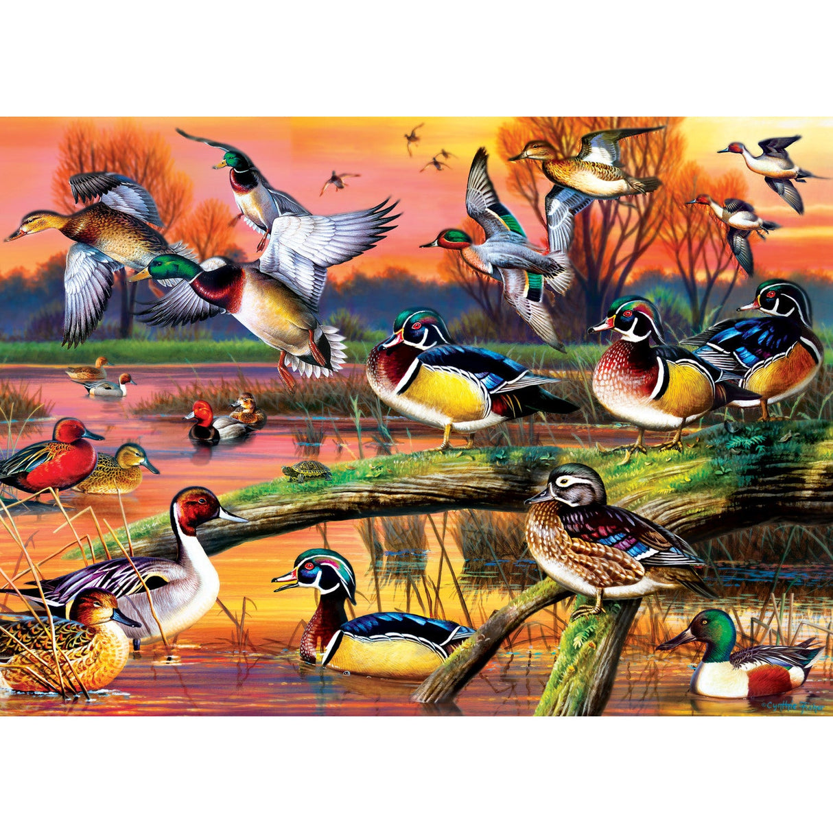 Audubon - Autumn Feathers 1000 Piece Jigsaw Puzzle