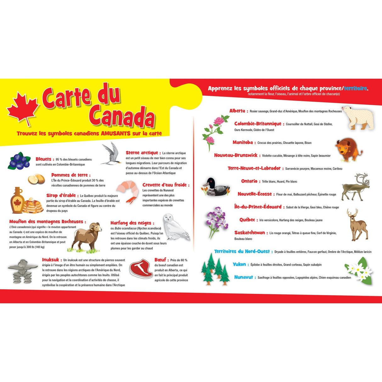 Educational - Canada Map 36 Piece Floor Jigsaw Puzzle