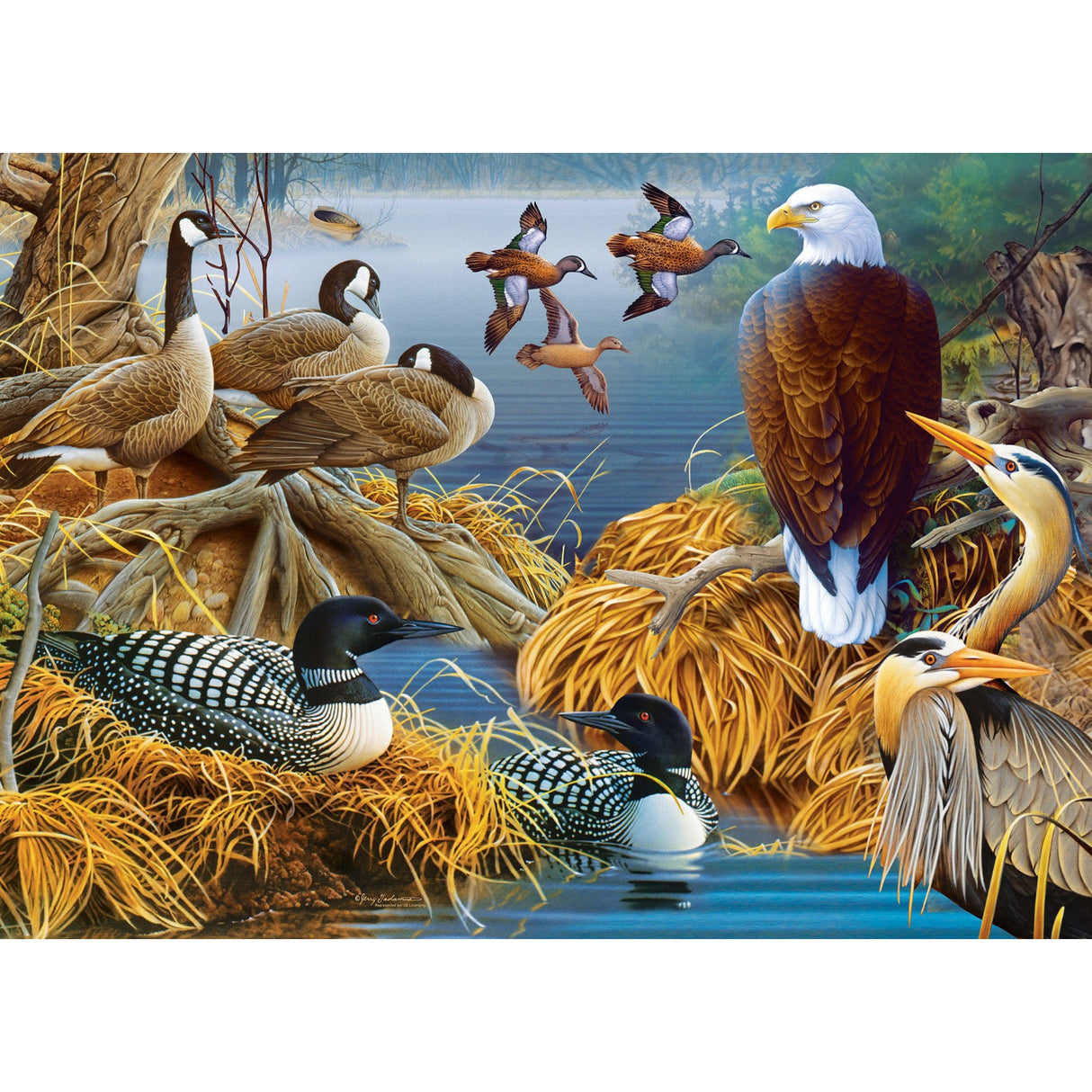 Audubon - Lake Life 1000 Piece Jigsaw Puzzle