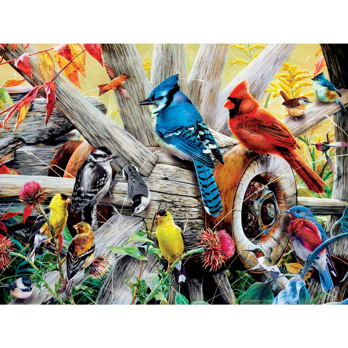 Audubon - Backyard Birds 300 Piece EZ Grip Jigsaw Puzzle