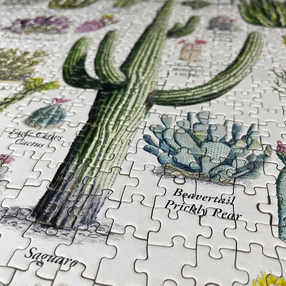 Cacti of the Desert Southwest 1000 Piece Jigsaw Puzzle