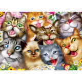 Selfies - Purrfect Portraits 500 Piece Jigsaw Puzzle