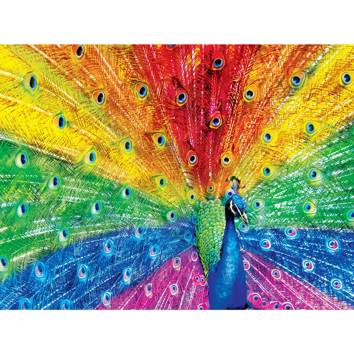 Brilliance - Peacock Delight 500 Piece Jigsaw Puzzle