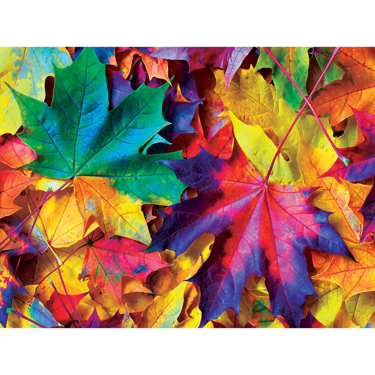 Brilliance - Fall Frenzy 500 Piece Jigsaw Puzzle