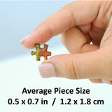 World's Smallest - Retro Petrol 1000 Piece Jigsaw Puzzle