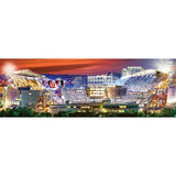 Cincinnati Bengals - Stadium View 1000 Piece Panoramic Jigsaw Puzzle