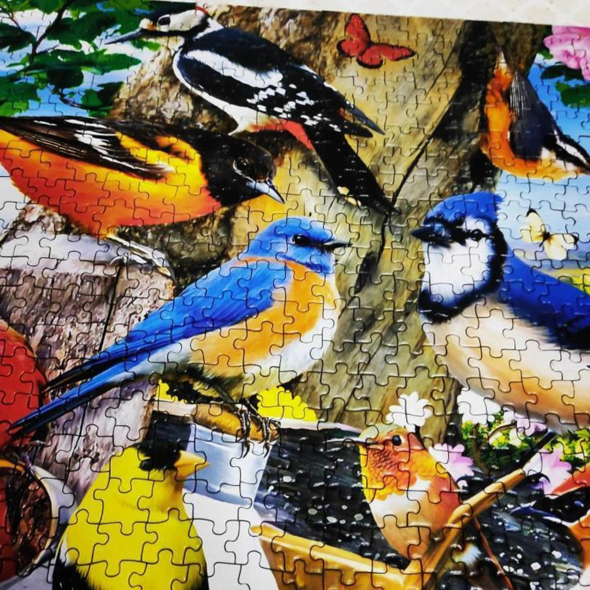 Audubon - Spring Gathering 1000 Piece Jigsaw Puzzle