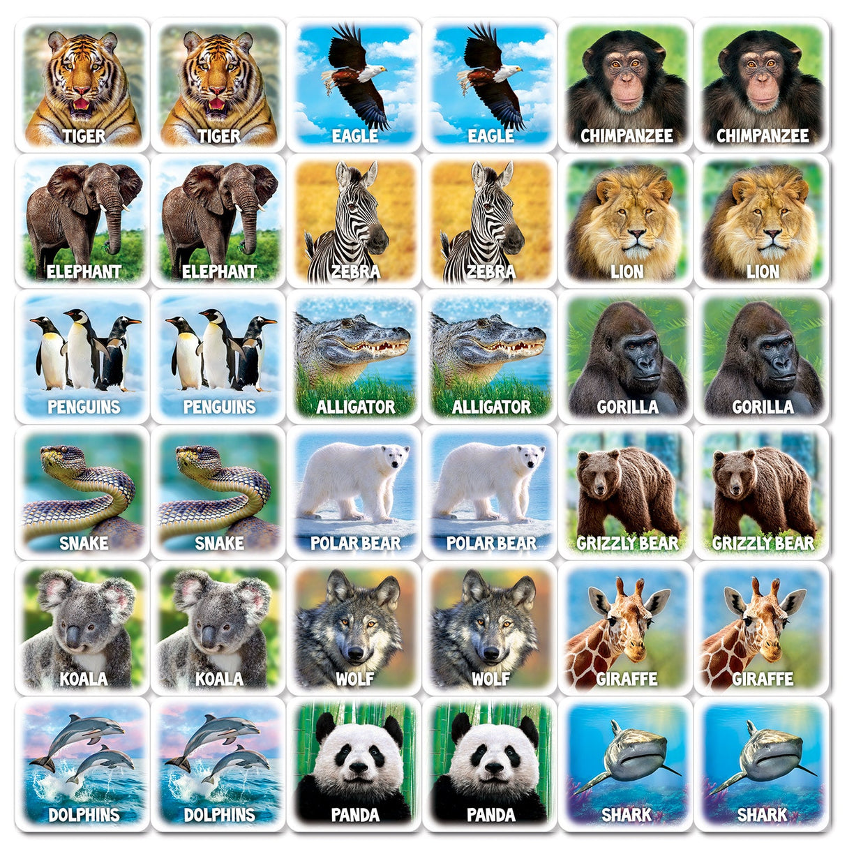 World of Animals Matching Game