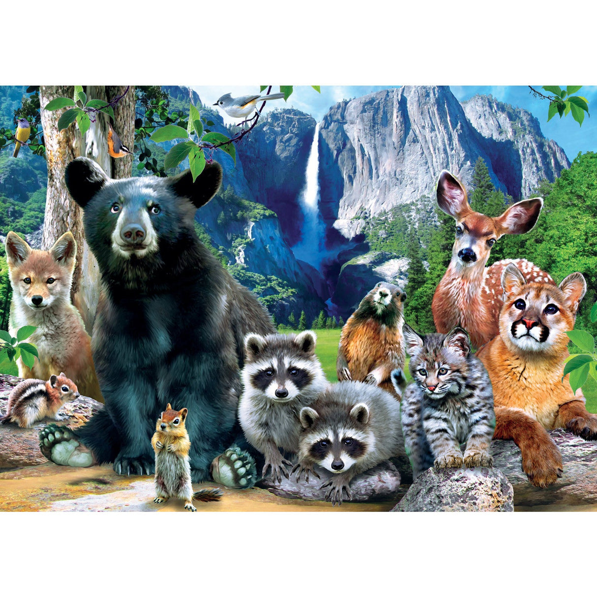 Yosemite National Park 500 Piece Jigsaw Puzzle