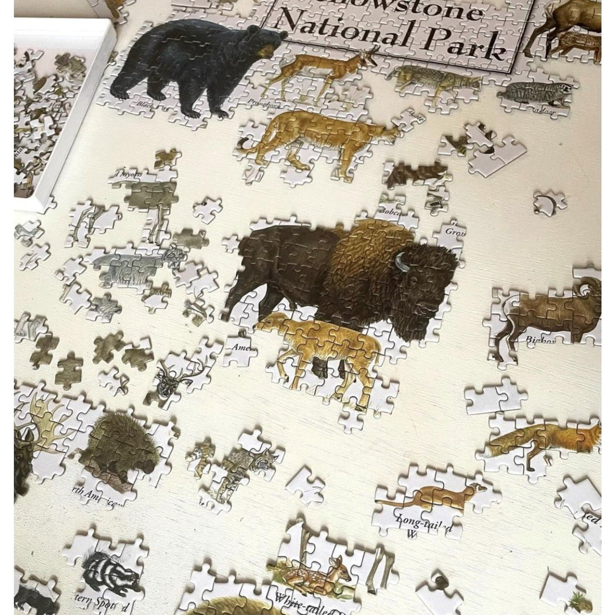 Mammals of Yellowstone National Park 1000 Piece Jigsaw Puzzle