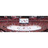 Detroit Red Wings - 1000 Piece Panoramic Jigsaw Puzzle